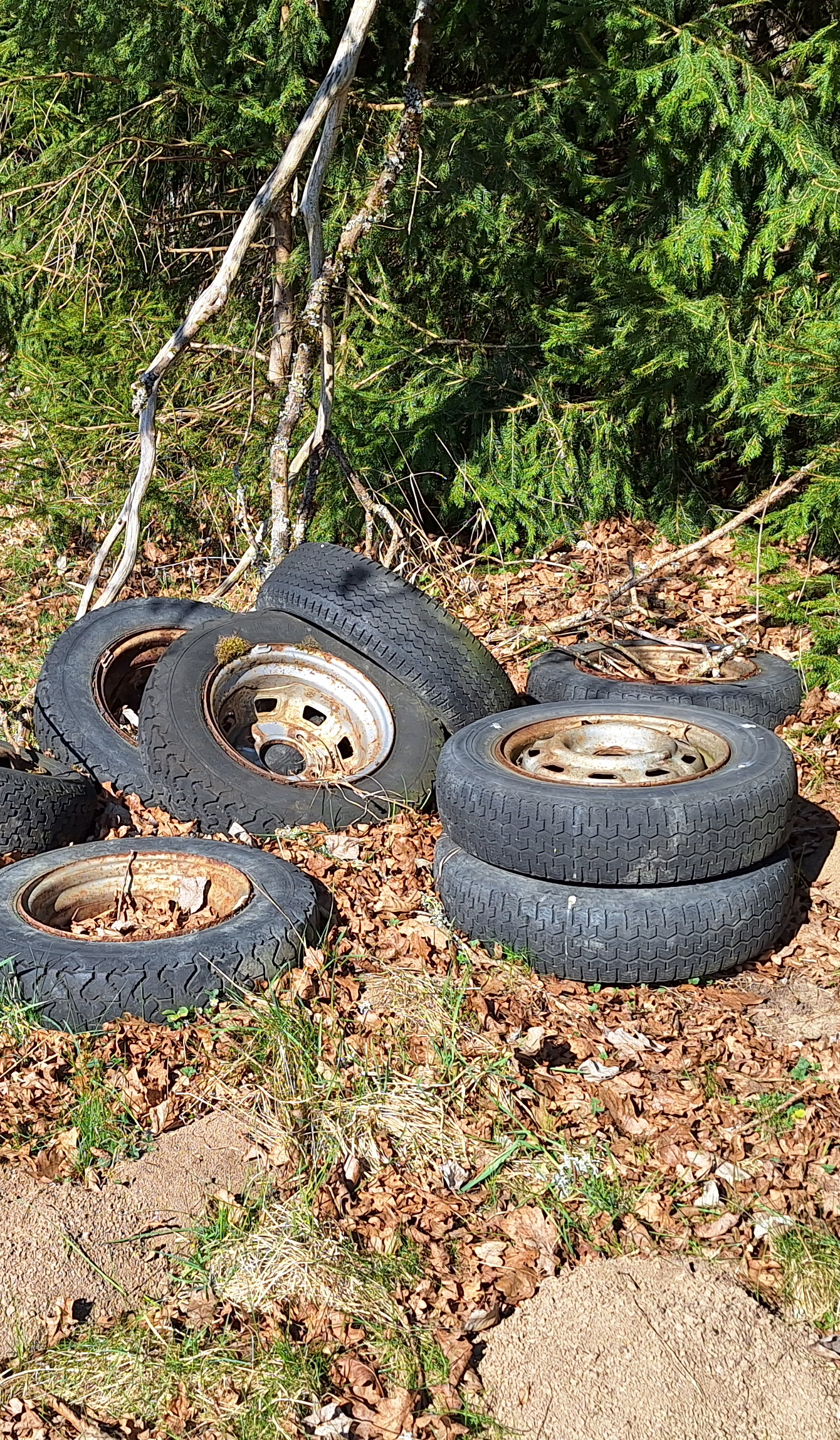 Altreifenentsorgung im Unterhölzer Wald