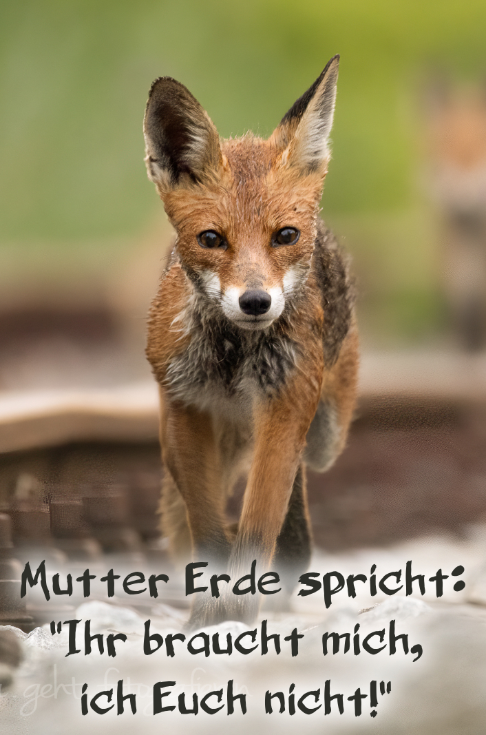 Mutter Erde spricht…