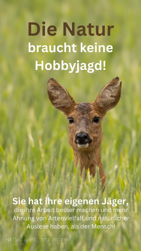 Die Natur braucht keine Hobbyjagd!
