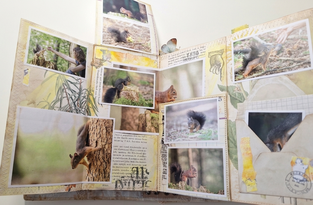 Eine Seite aus meinem Junk Journal nature mit Eichhörnchen