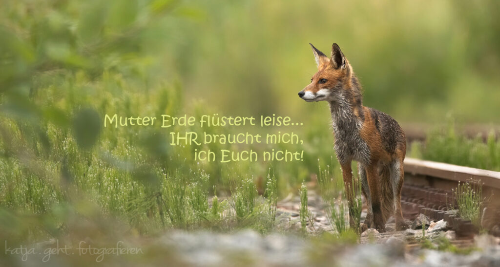 Mutter Erde flüstert leise... IHR braucht mich, ich Euch nicht!
