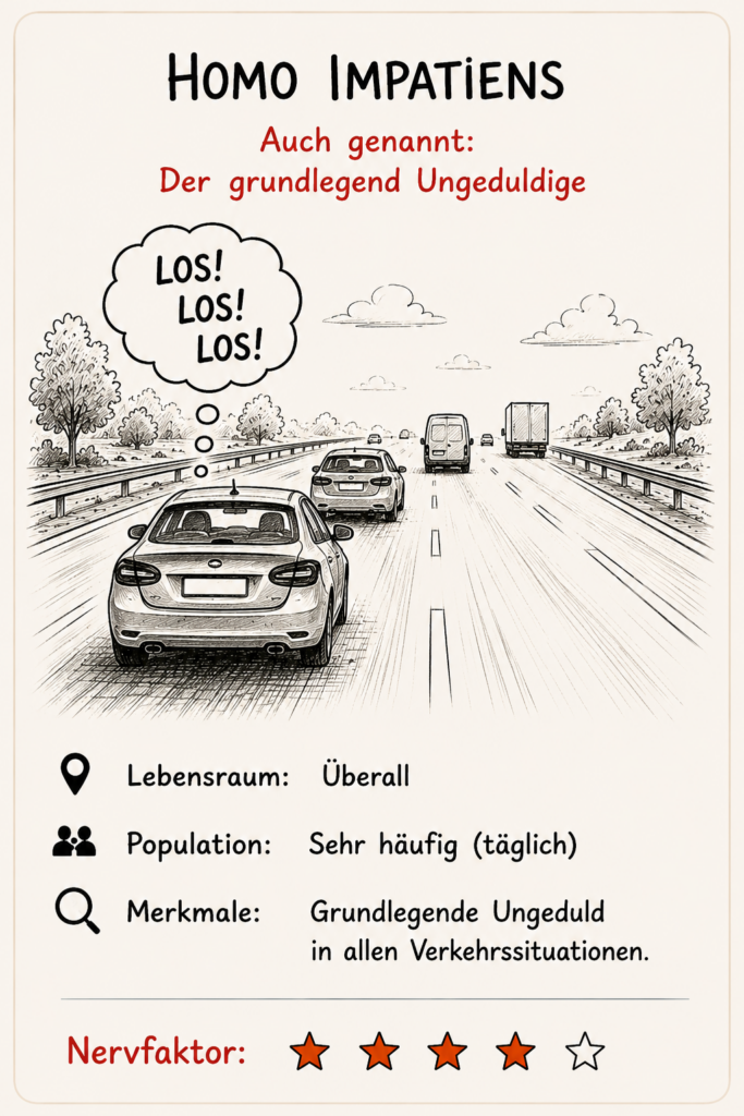 Meine Verkehrs-Spezies - Homo Impatiens, der ständig Genervte, der zu langsam, der zu spät, ständig am drängeln, der beste Freund ist die Lichthupe.